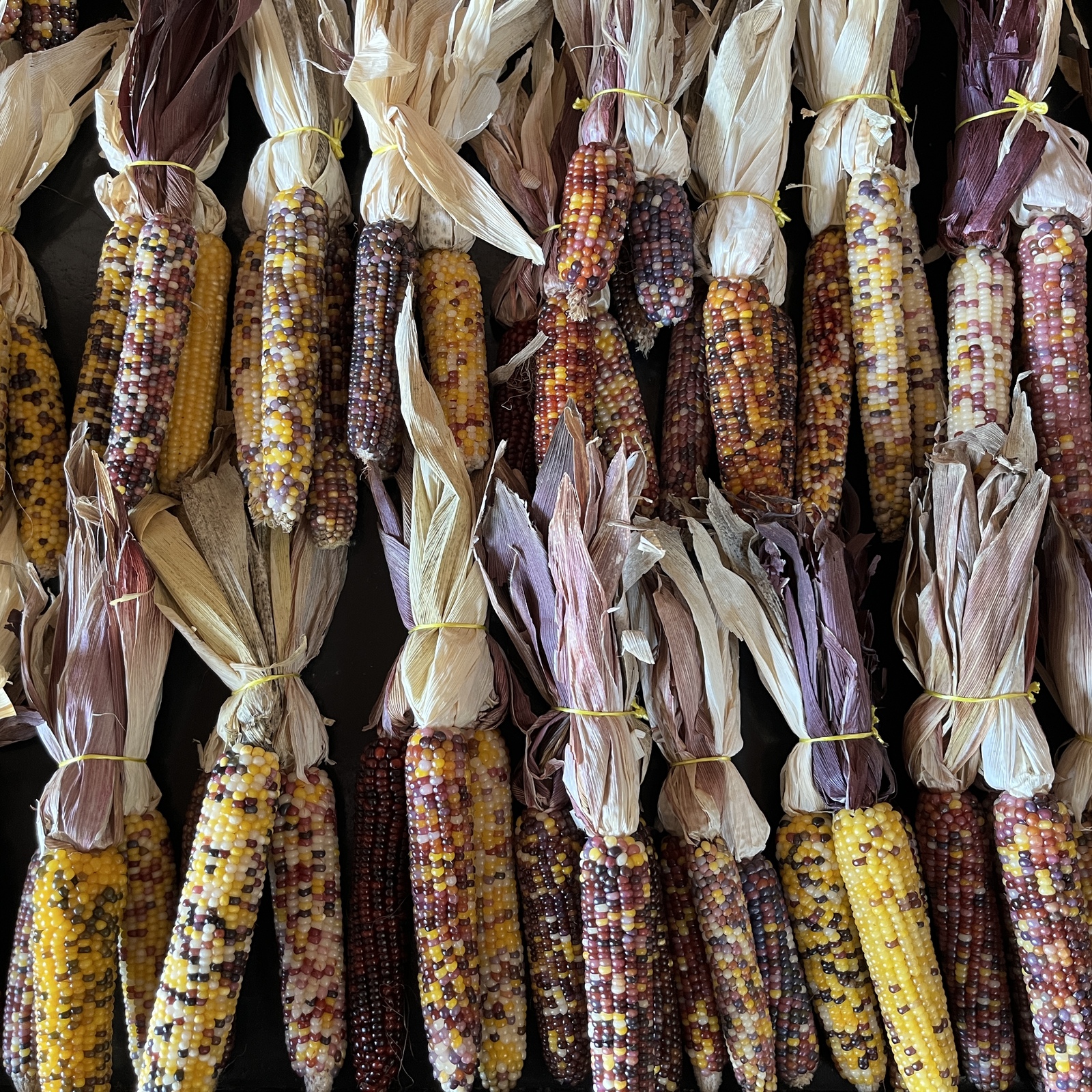 kurtzproduce.com - Farm Fresh Produce & Activities